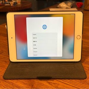 Apple iPad Mini with Black Case